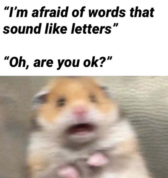 I'm afraid of words that sound like letters - meme