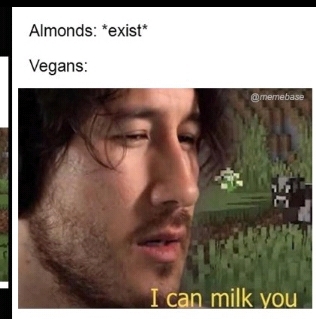 Vegans suck - meme