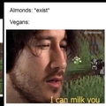Vegans suck