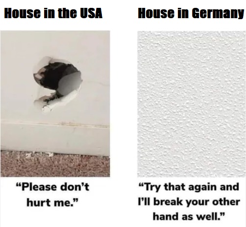 USA vs. germany - meme