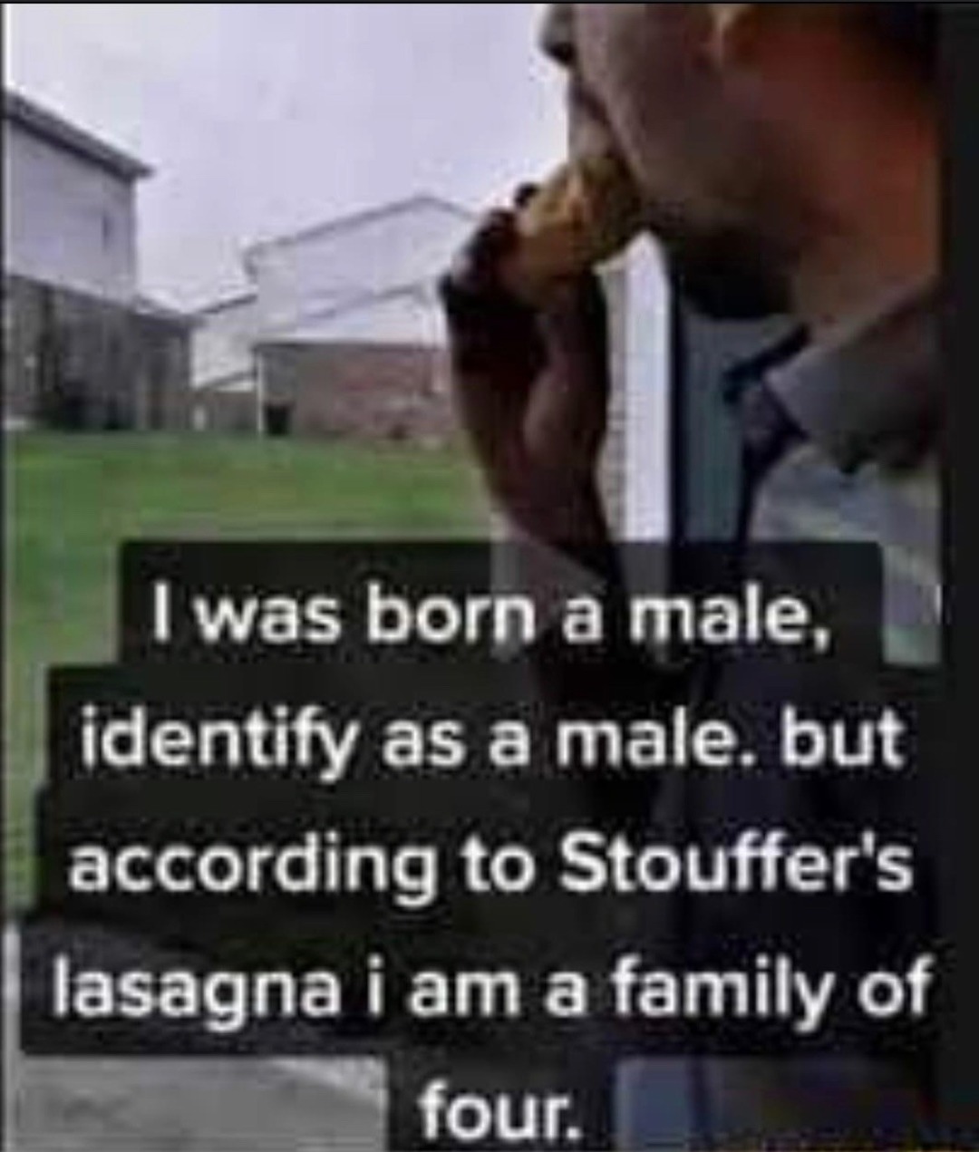 I identify as a lasagna. - meme