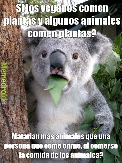 Esto no esta para ofender veganos - meme