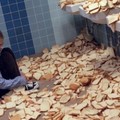 La venganza del pan