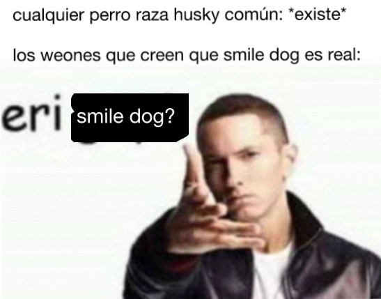 Smile dog - meme