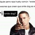 Smile dog