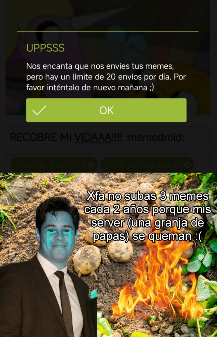 :kiddingme: Niggagecko puto - meme