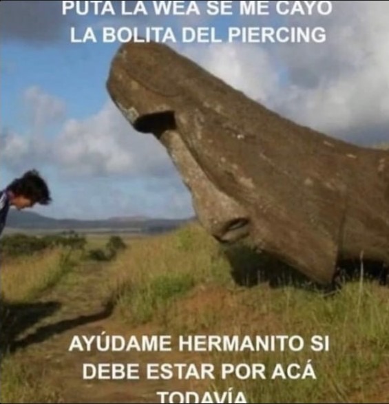 Se me cayó la bolita del piercing ayuda hermanito - meme