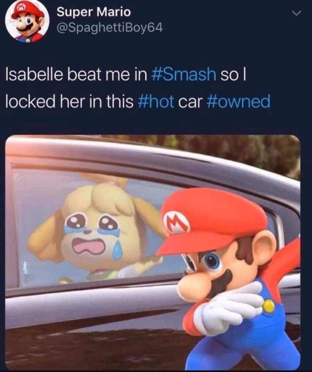 Mario got zero chill - meme