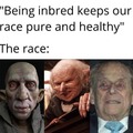 Inbred pure race