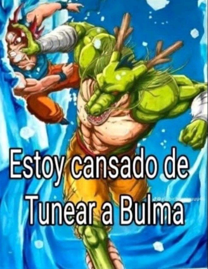 Pobre Shenlong - meme