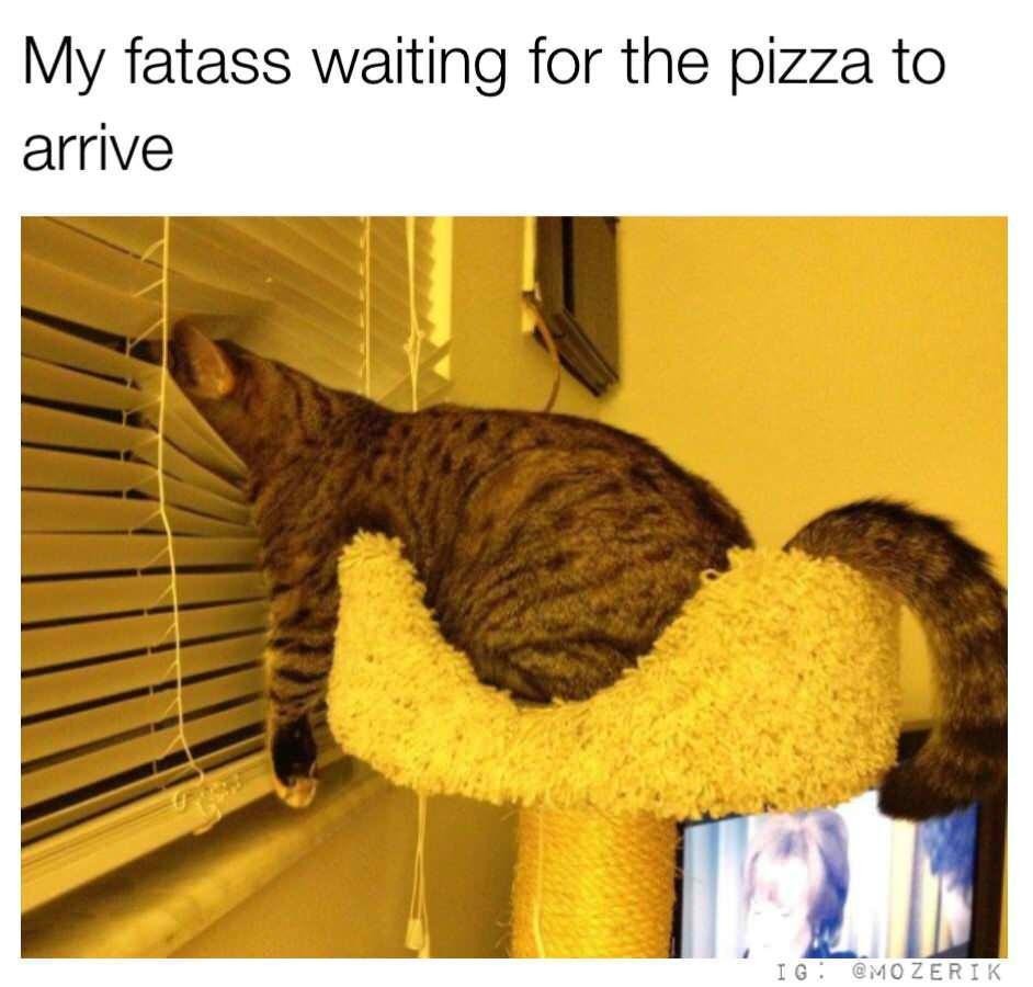 Me waiting for delivery like I haven't eaten in 4 hours - meme