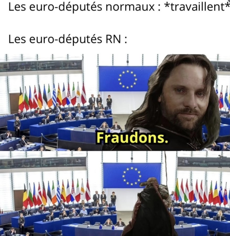 Fraude chez les eurodéputés RN - meme