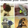 Cual es tu clase?
