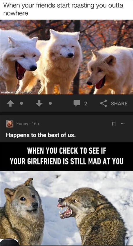 2 wolf memes