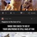 2 wolf memes