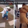 commented item thumbnail