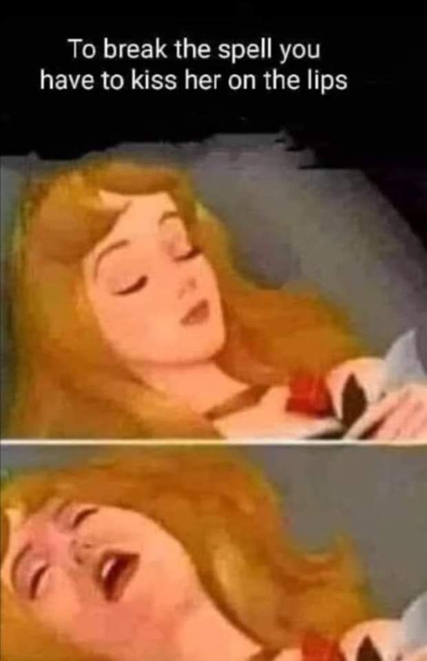 Sleeping Beauty - meme