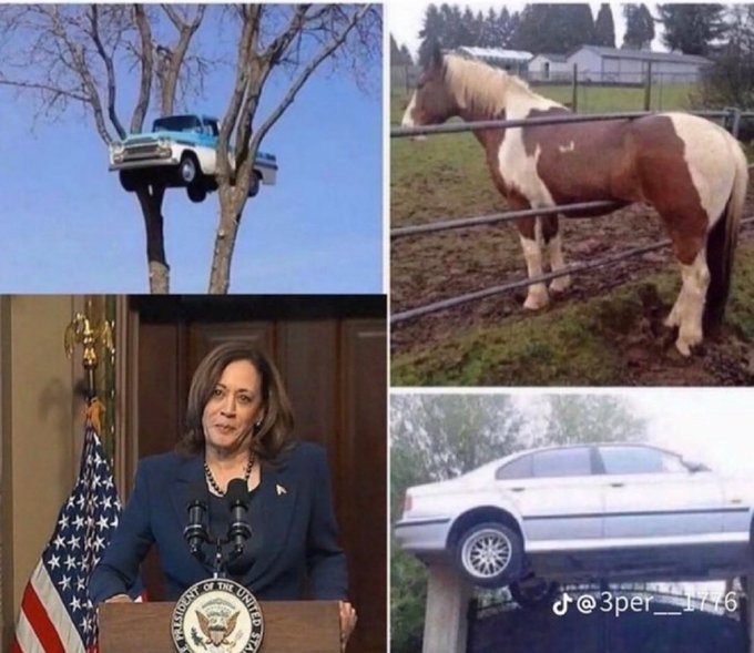 How the heck did THAT get THERE??! - meme