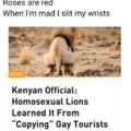 Lions are Fagits