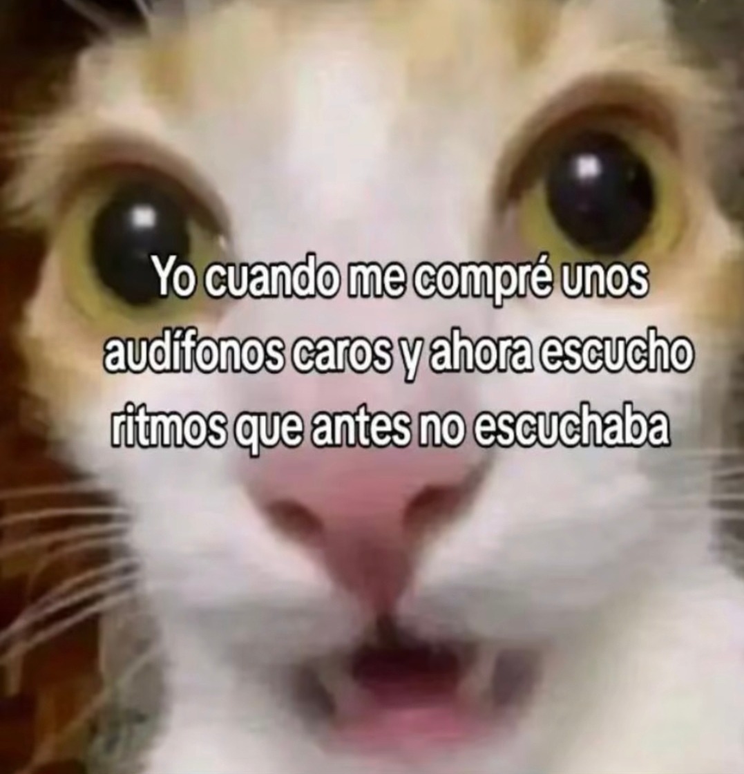Me compré audífonos caros y ahora escucho hasta el alma del artista - meme
