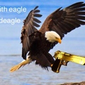 Hecking eagle