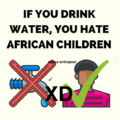 bruh (lamento el meme en ingles) traducción si tomas agua odias a los niños africanos