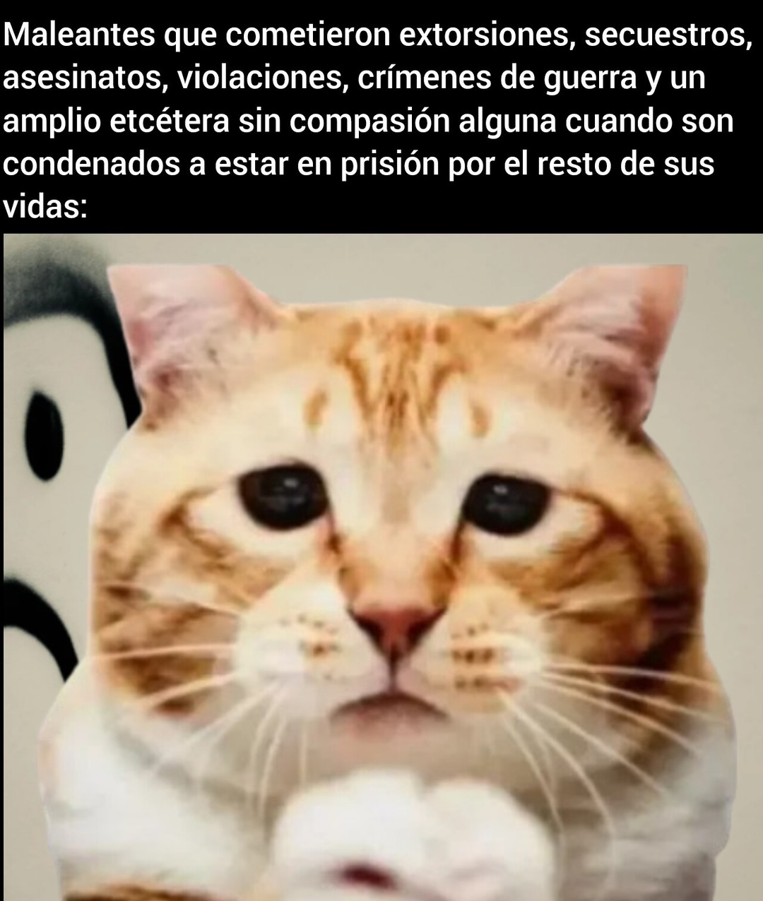 Nada más que decir - meme