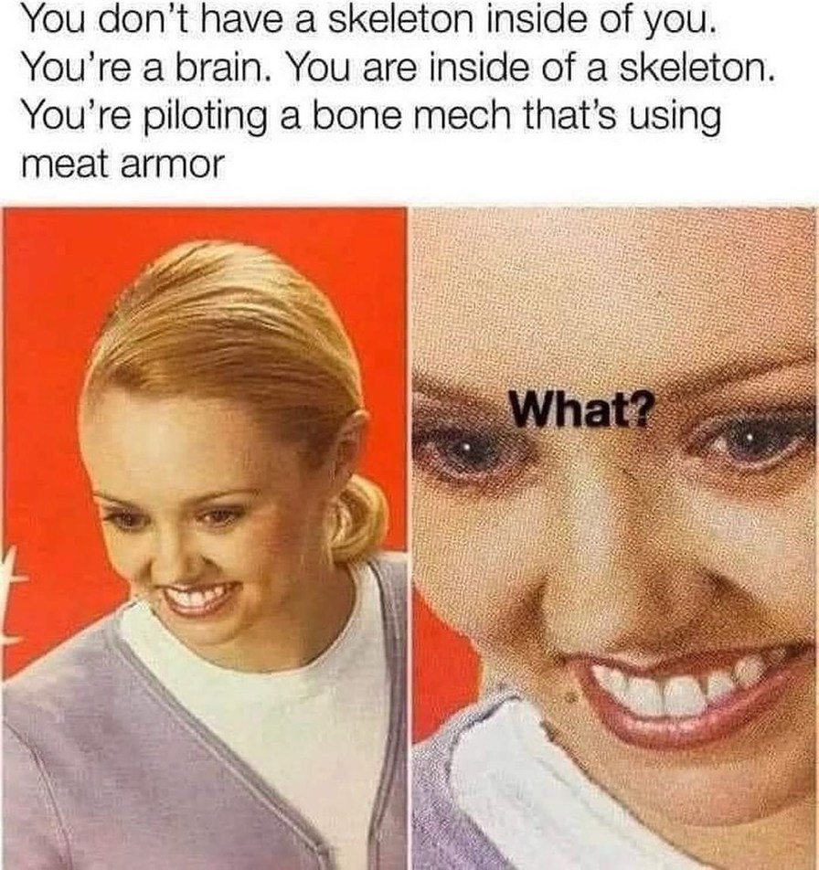 The brain is the only organ to name itself - meme