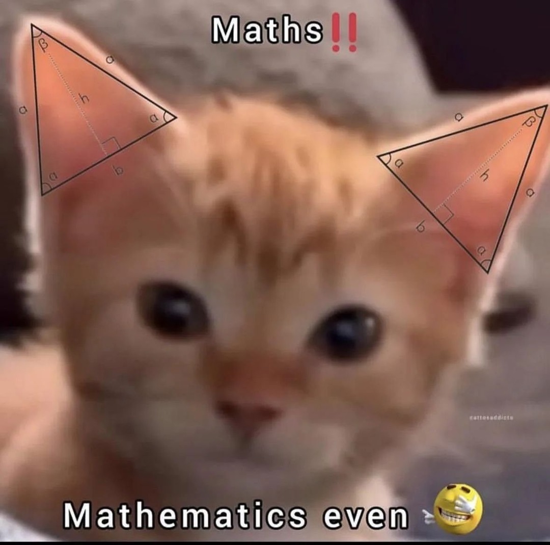 três coisas que amo: Gato e matemática - meme