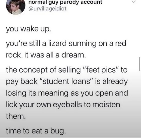 the good lizard life - meme