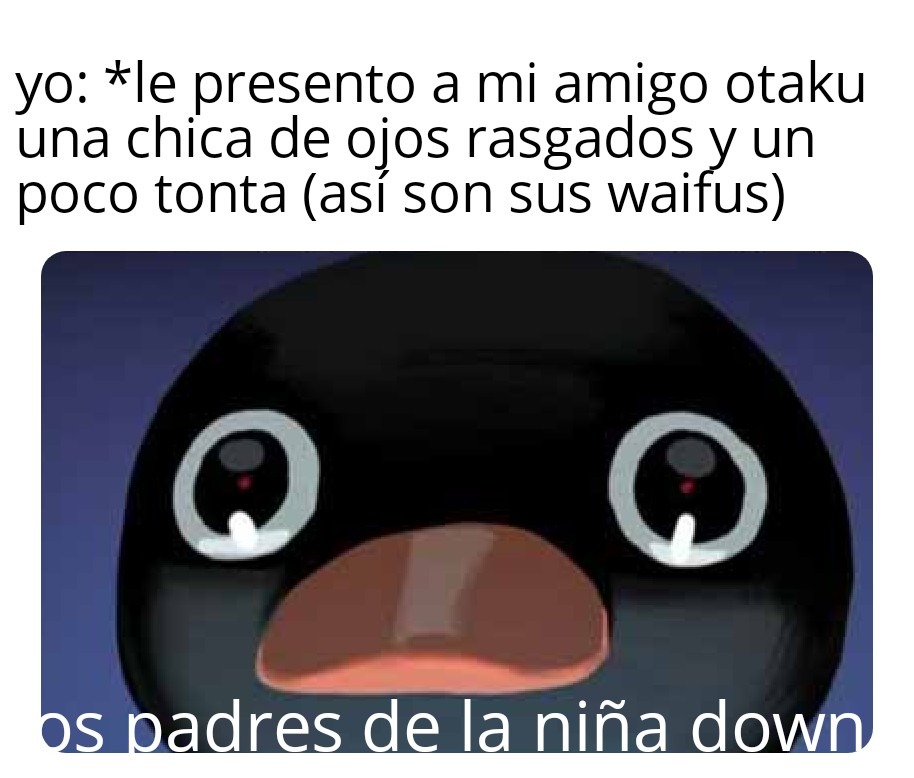 Solo quiero que la ponga - meme
