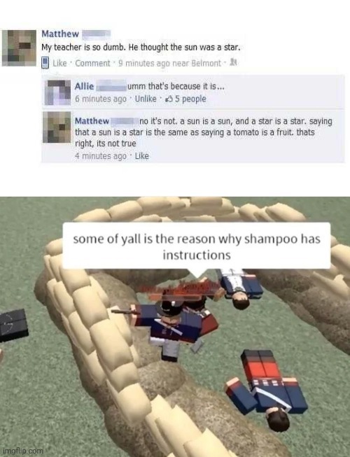 No words can explain this stupidity - meme