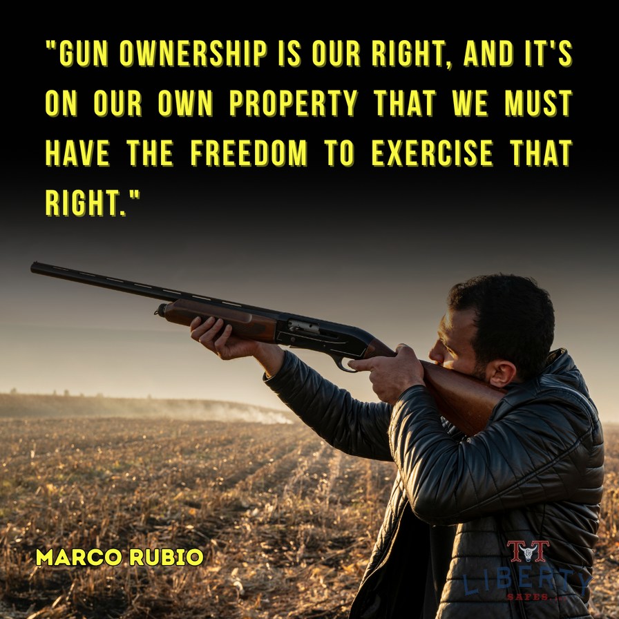 2nd Amendment - meme