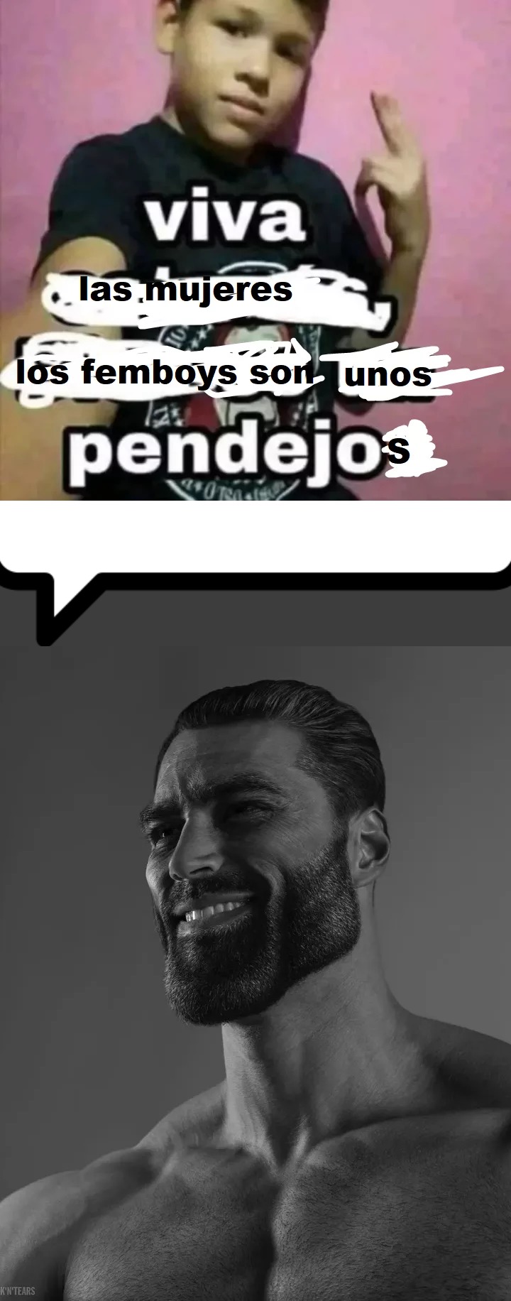 Femboyzzzzzzzzzzzzz - meme