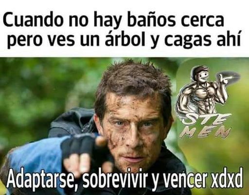 :v - meme