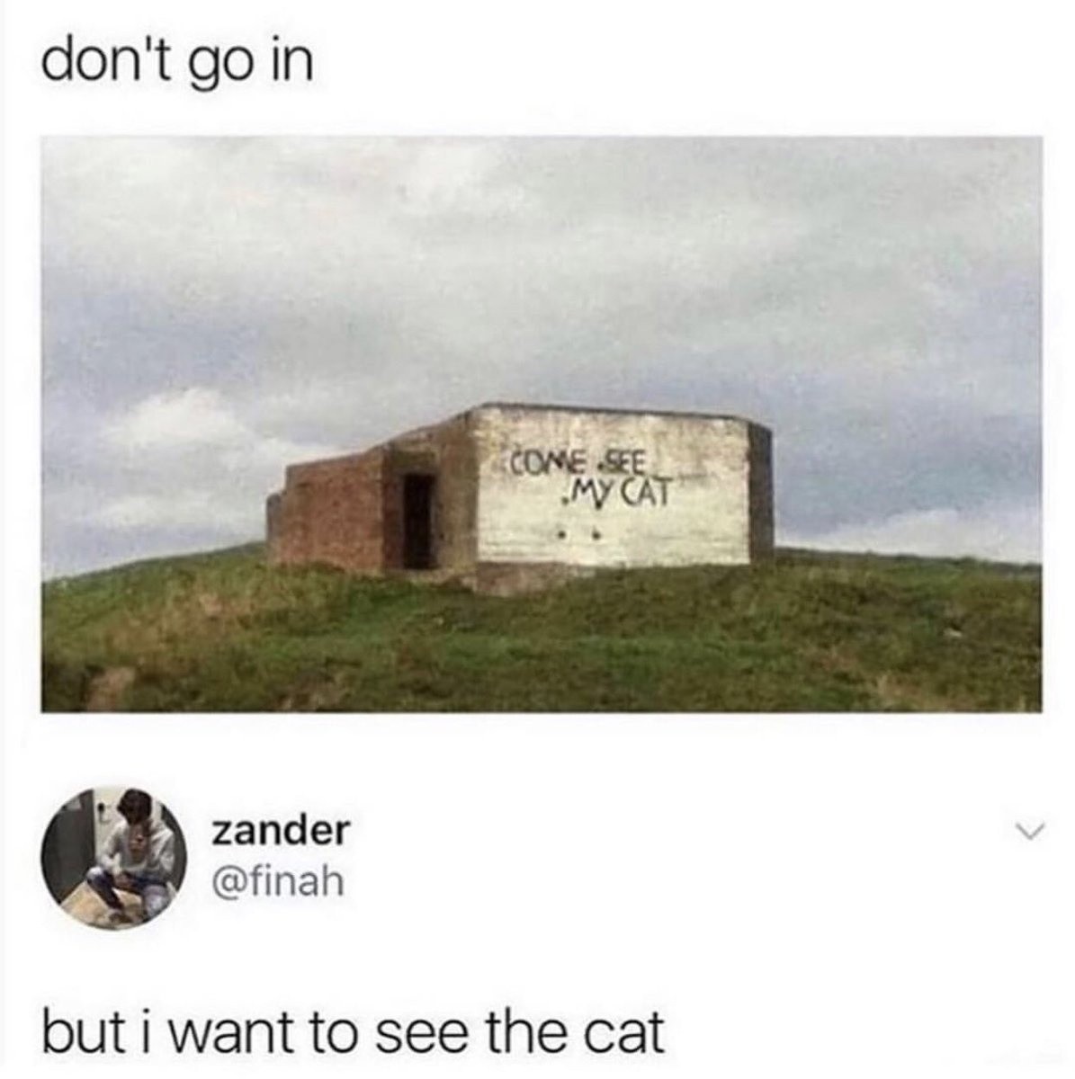 Te enseñare mi gato - meme