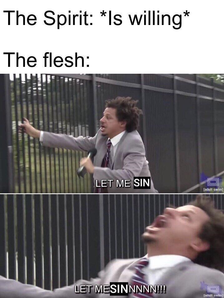 the spirit vs the flesh - meme