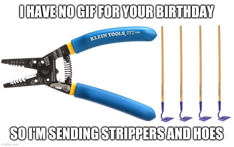Sending strippers and hoes for your birthday - meme