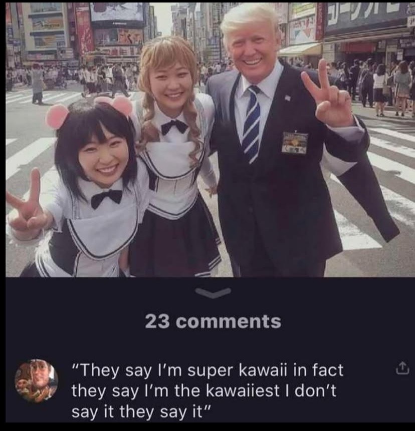 they all say it, everyone says it - meme