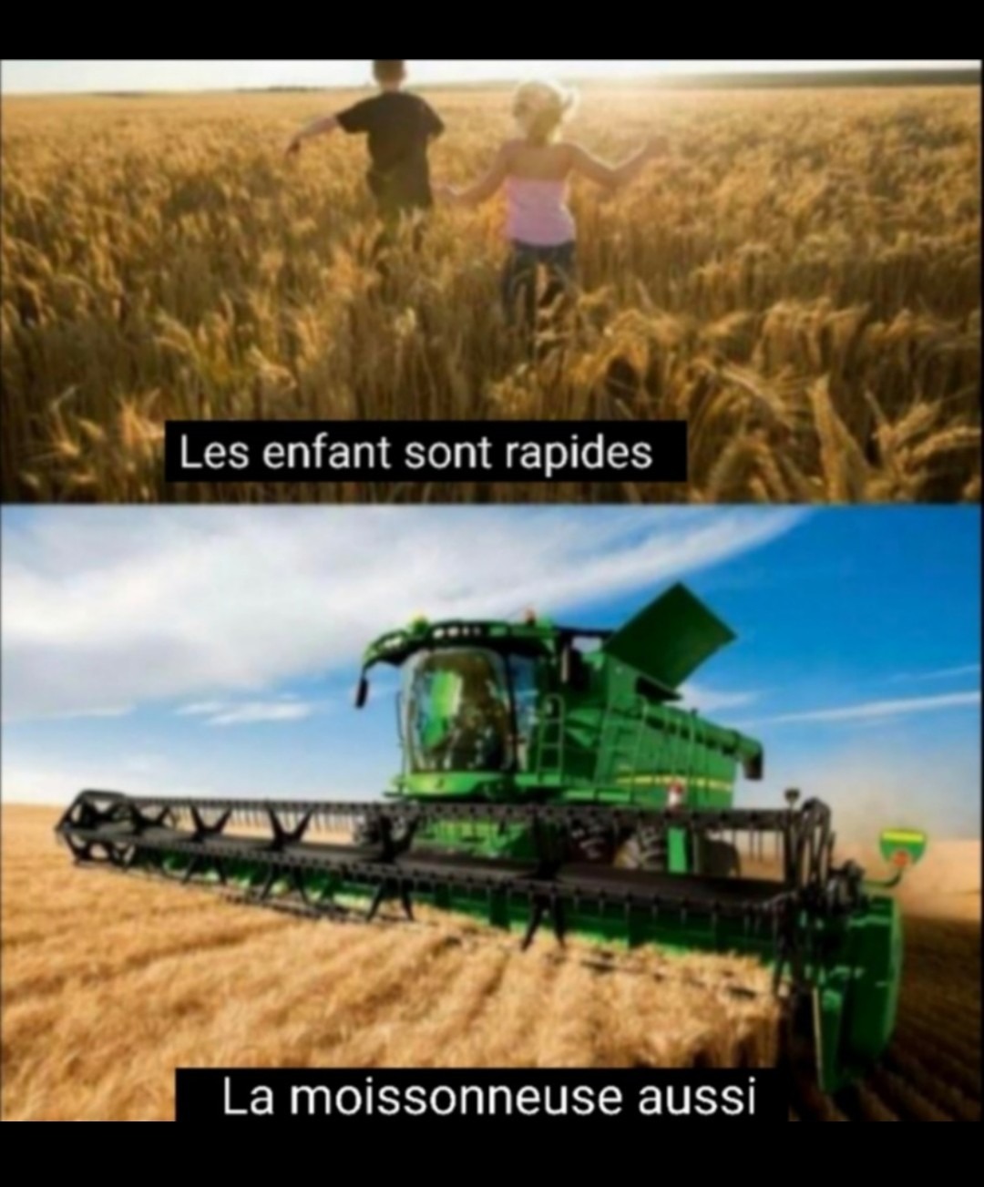 Ne jamais aller dans les champs  - meme