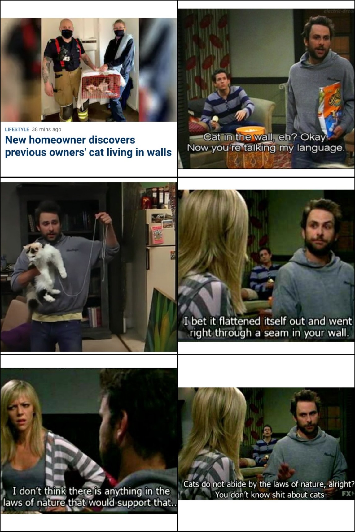 Hello, Charlie Kelly here, local business owner and cat enthusiast... - meme