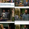 Hello, Charlie Kelly here, local business owner and cat enthusiast...