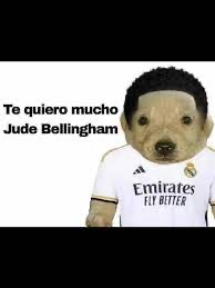 Te quiero mucho Jude Bellinham - meme