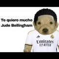 Te quiero mucho Jude Bellinham