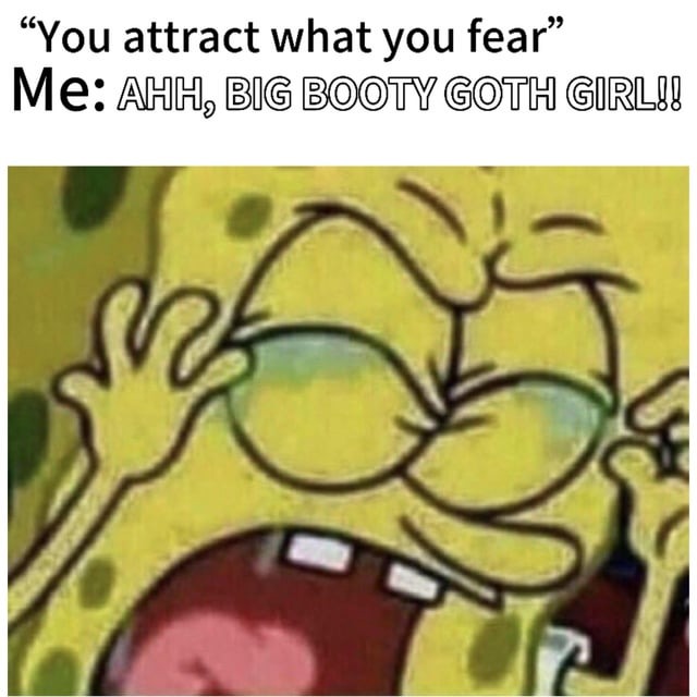 Attract what you fear - meme