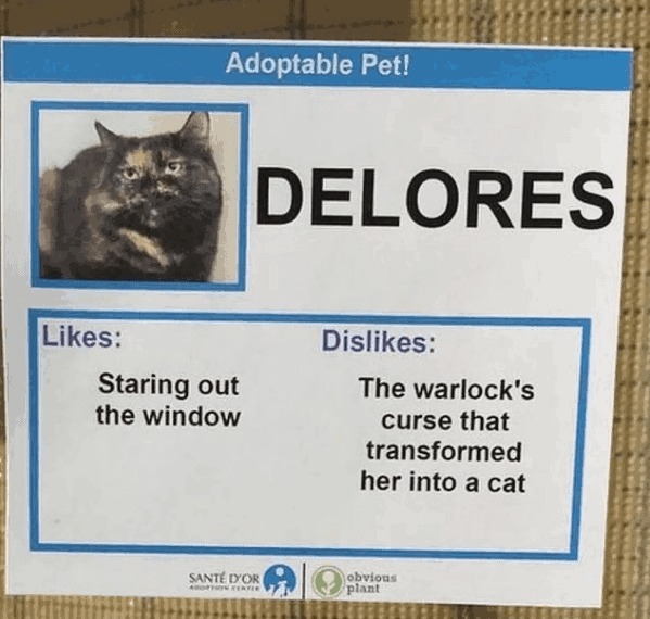 What a pussy - meme
