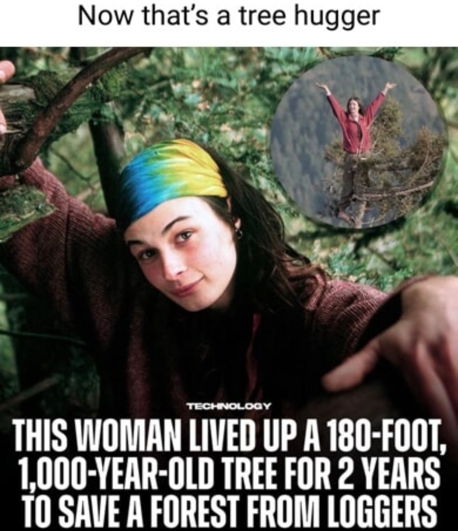 This woman lived in a tree for 2 years to save a forest. Icon. - meme