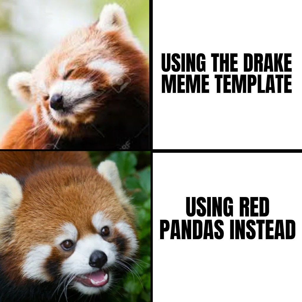 Red panda - meme