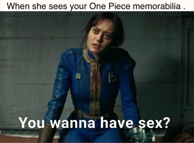 One Piece memorabilia - meme