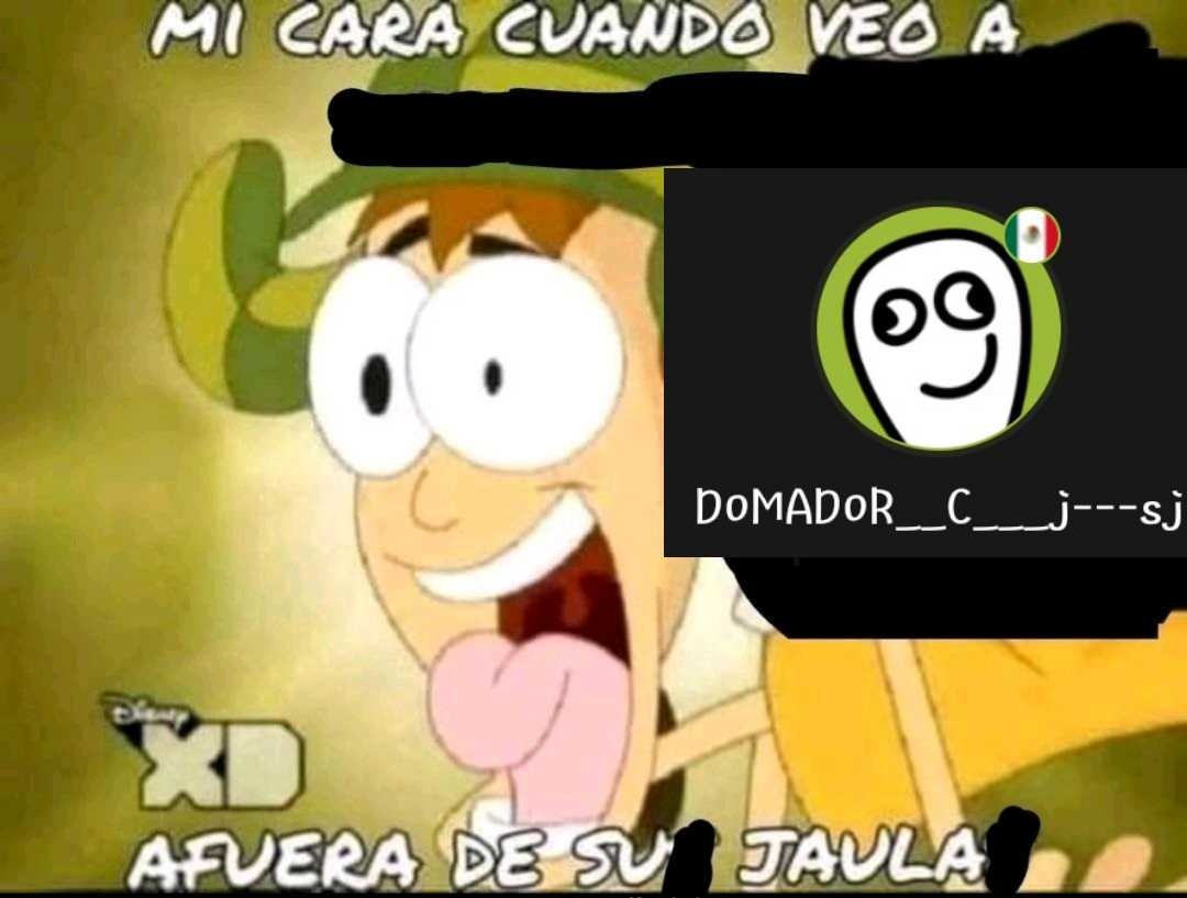 Xd - meme